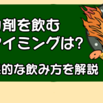 精力剤を飲むタイミングはいつ？ 効果的な飲み方を解説