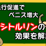 シトルリンの効果を解説！血行促進でペニス増大